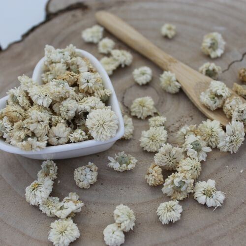 Harmanček rímsky - kvet - Anthemis nobilis - Flos chamomillae romanae 1000 g