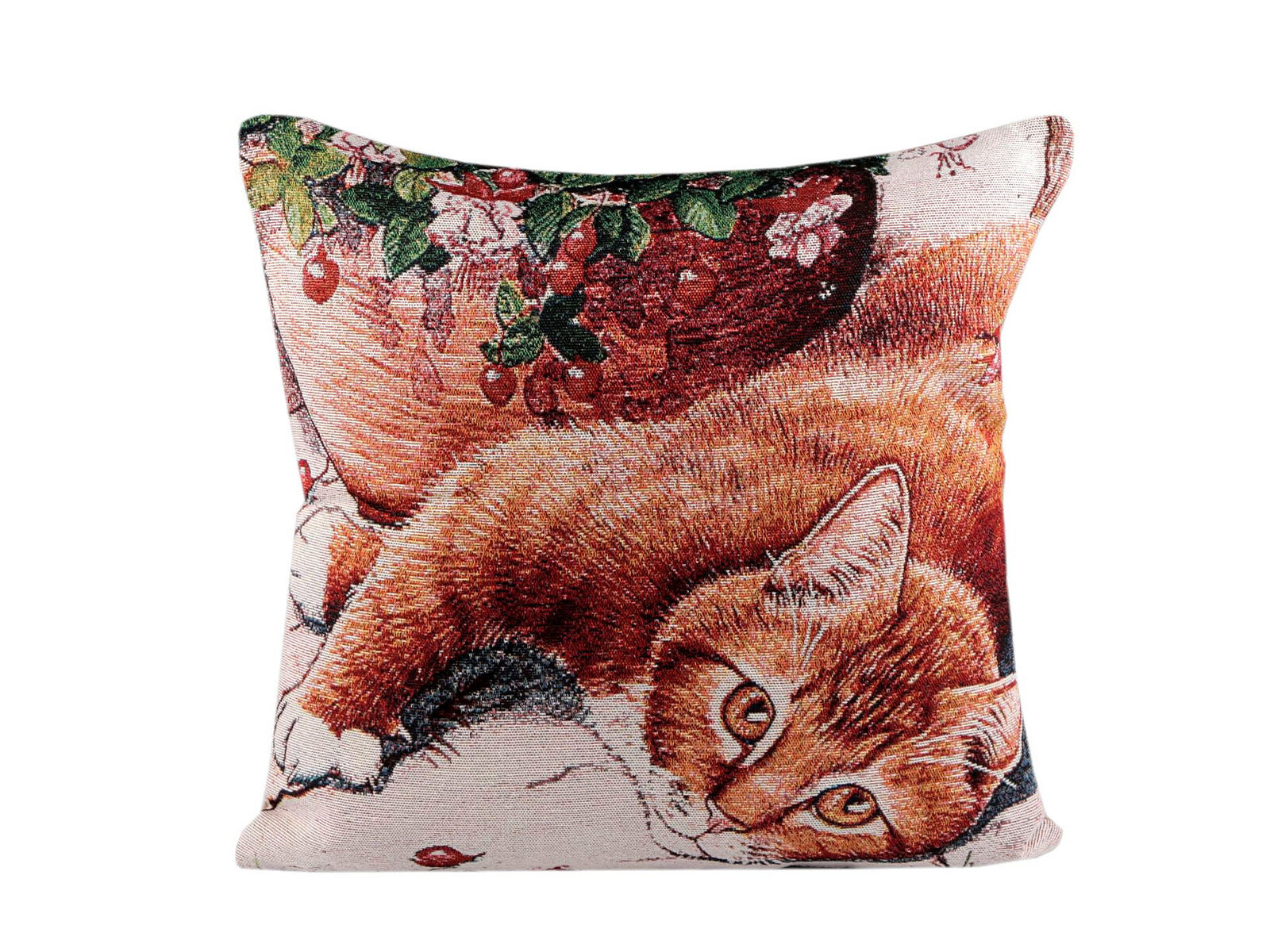 Vankúš so ryšavou mačkou (obliečka)