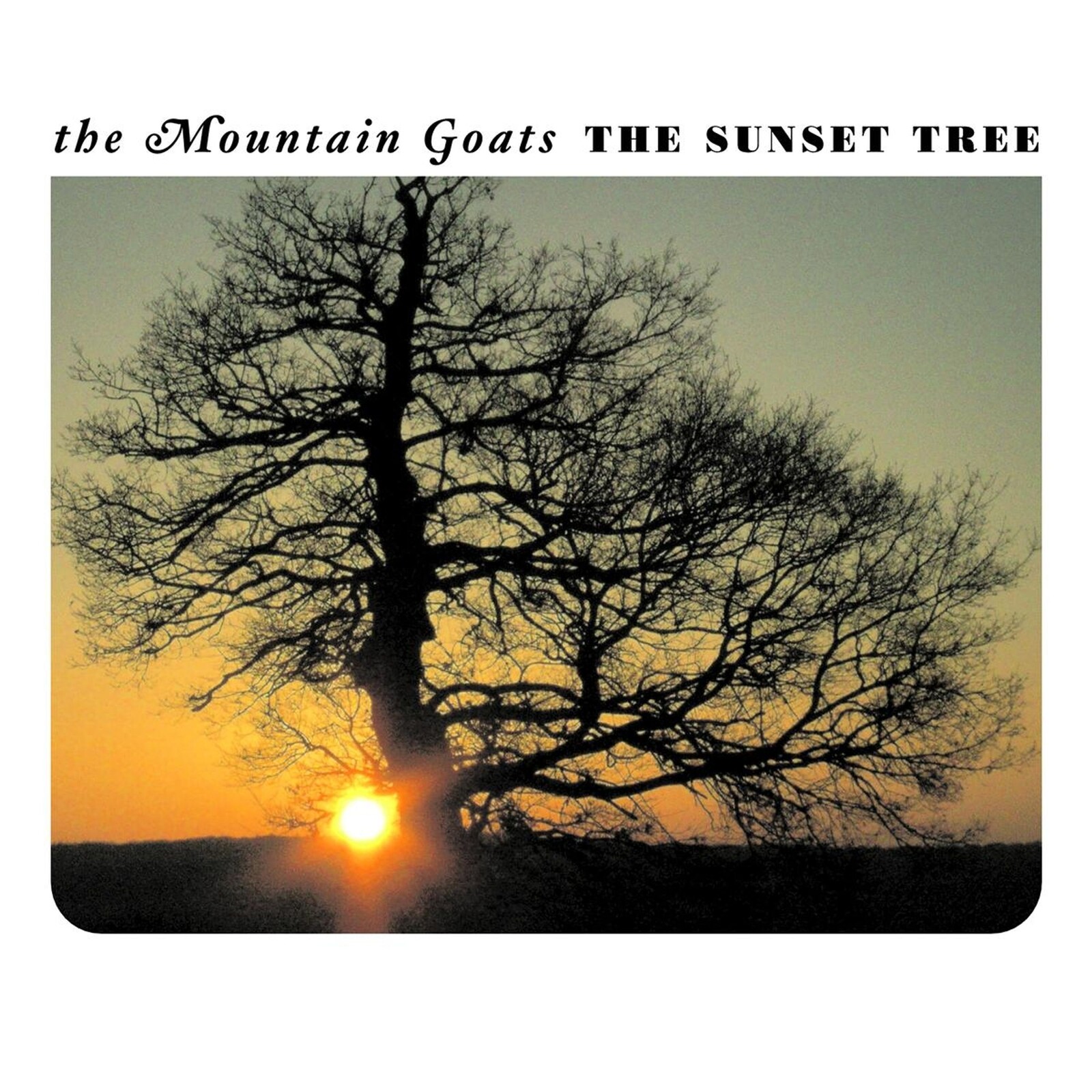 The Mountain Goats, THE SUNSET TREE, CD