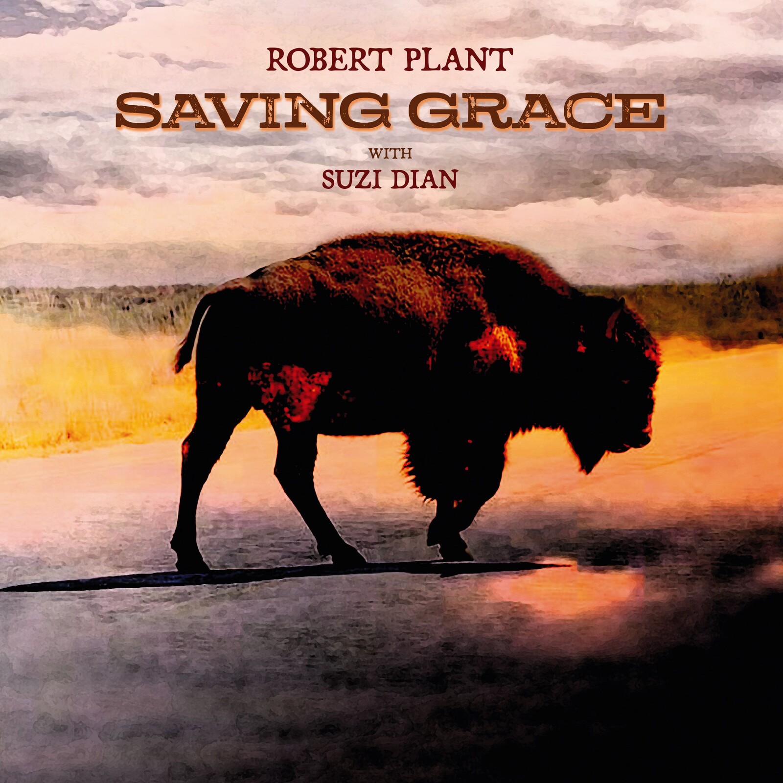 Robert Plant, SAVING GRACE, CD