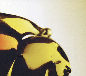 Hooray for Earth, TRUE LOVES, CD