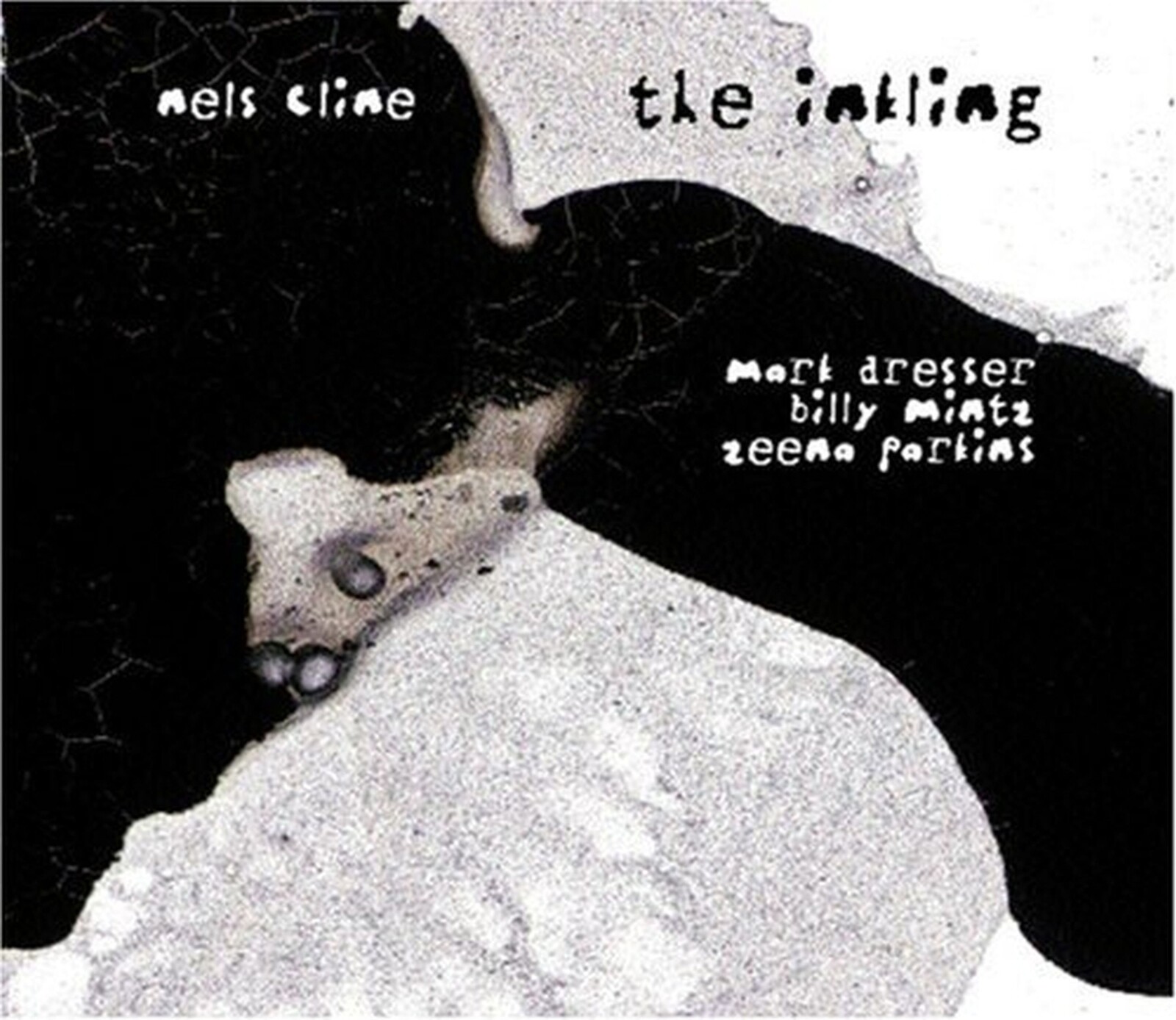 Nels Cline, INKLING, CD