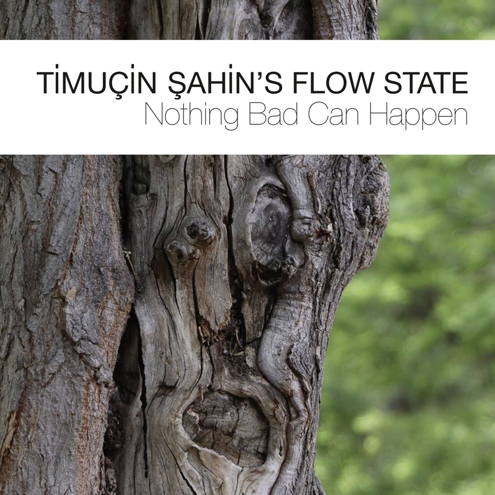 Timuçin Şahin's Flow State, NOTHING BAD CAN HAPPEN, CD