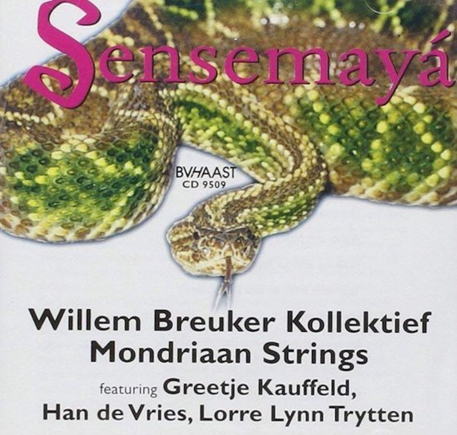 Jeff Kite, SENSEMAYA, CD