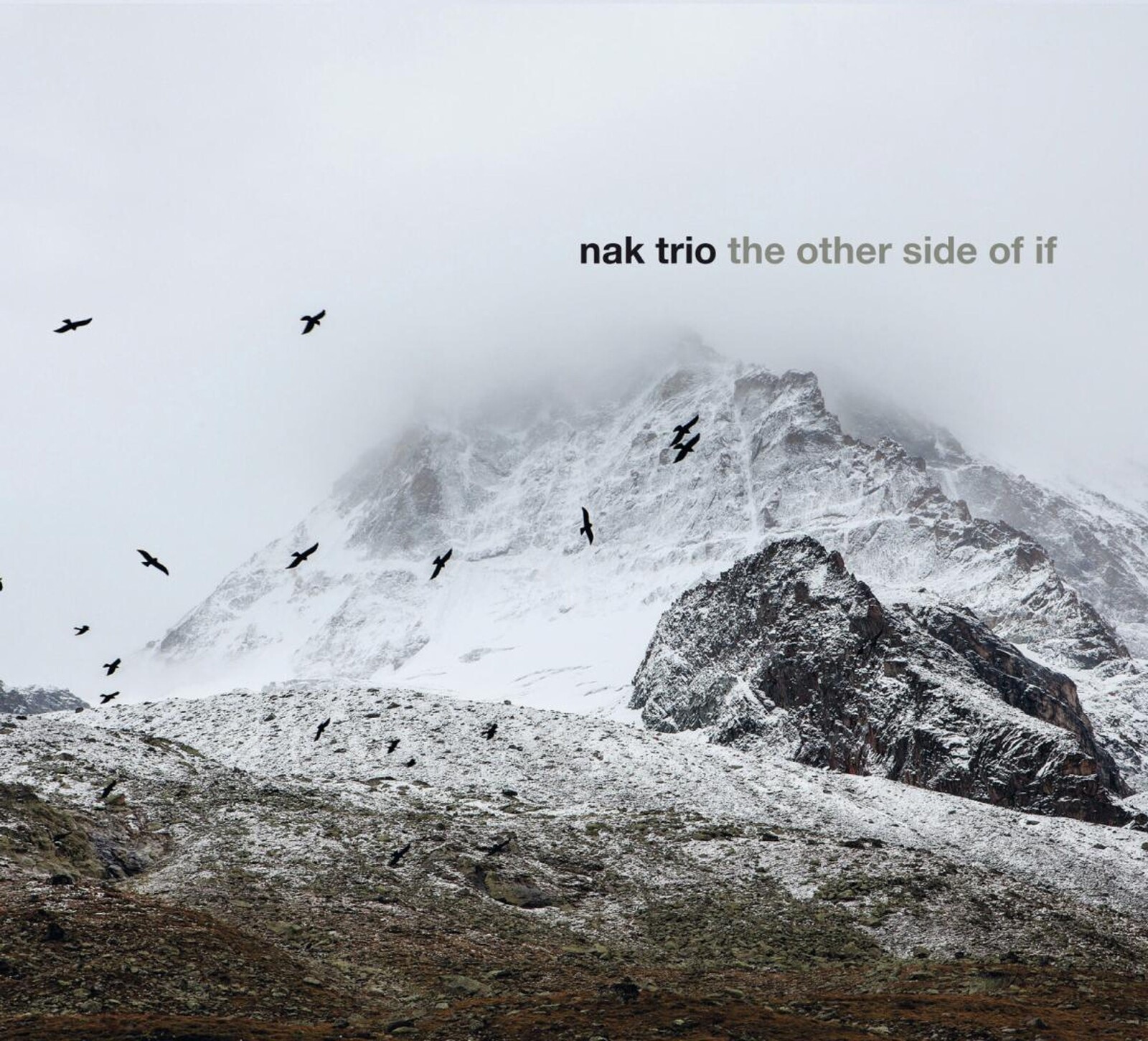 Nak Trio, OTHER SIDE OF IF, CD