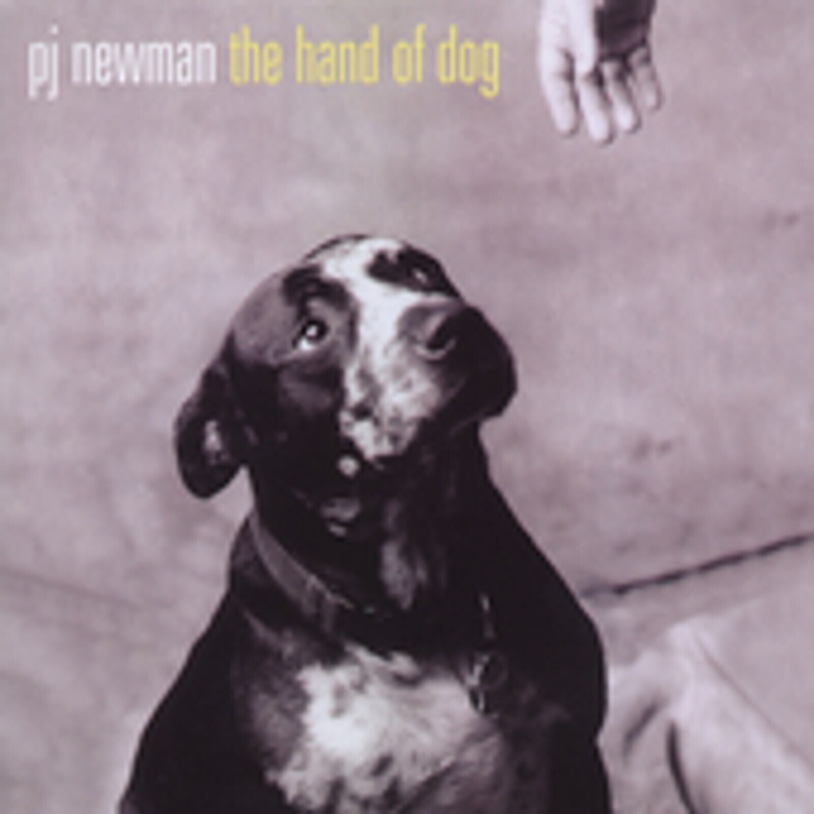 P.J. Newman, HAND OF DOG, CD
