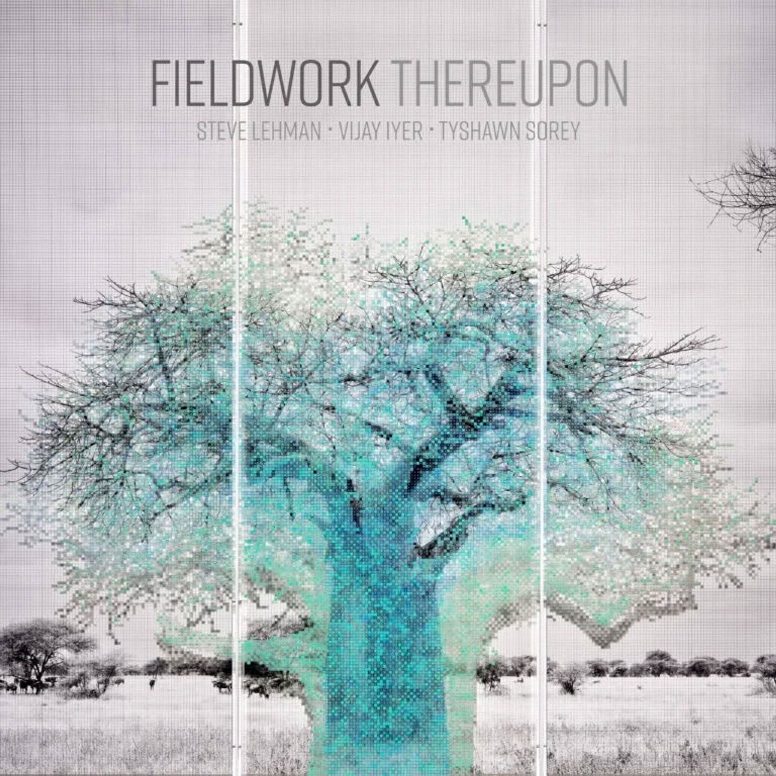 Fieldwork, THEREUPON, CD