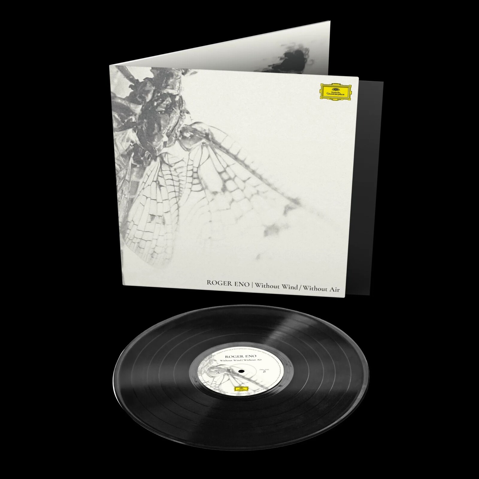 WITHOUT WIND, WITHOUT AIR