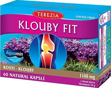 TEREZIA Kĺby Fit 60 kapsúl