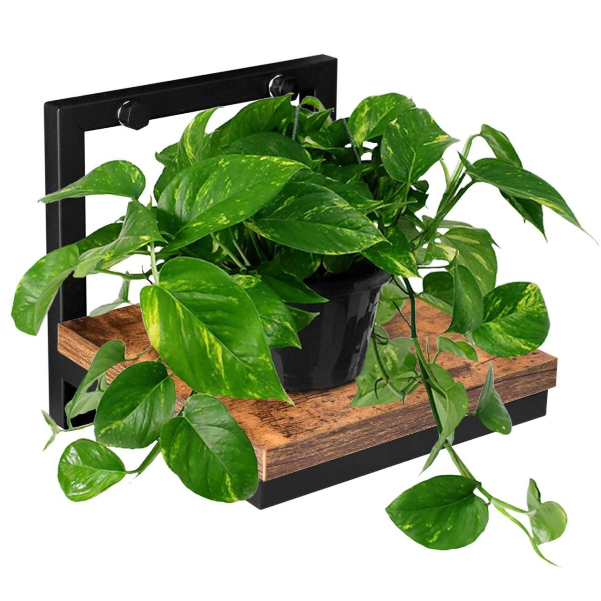 Nástenná polica Doron III hnedá/čierna