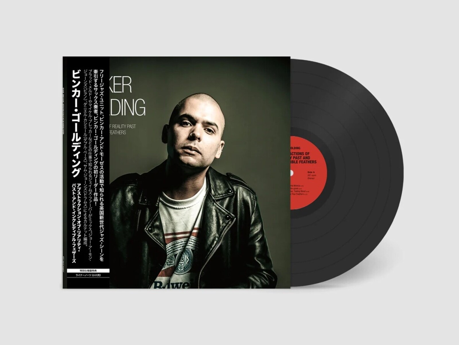 ABSTRACTIONS OF REALITY PAST AND INCREDIBLE FEATHERS