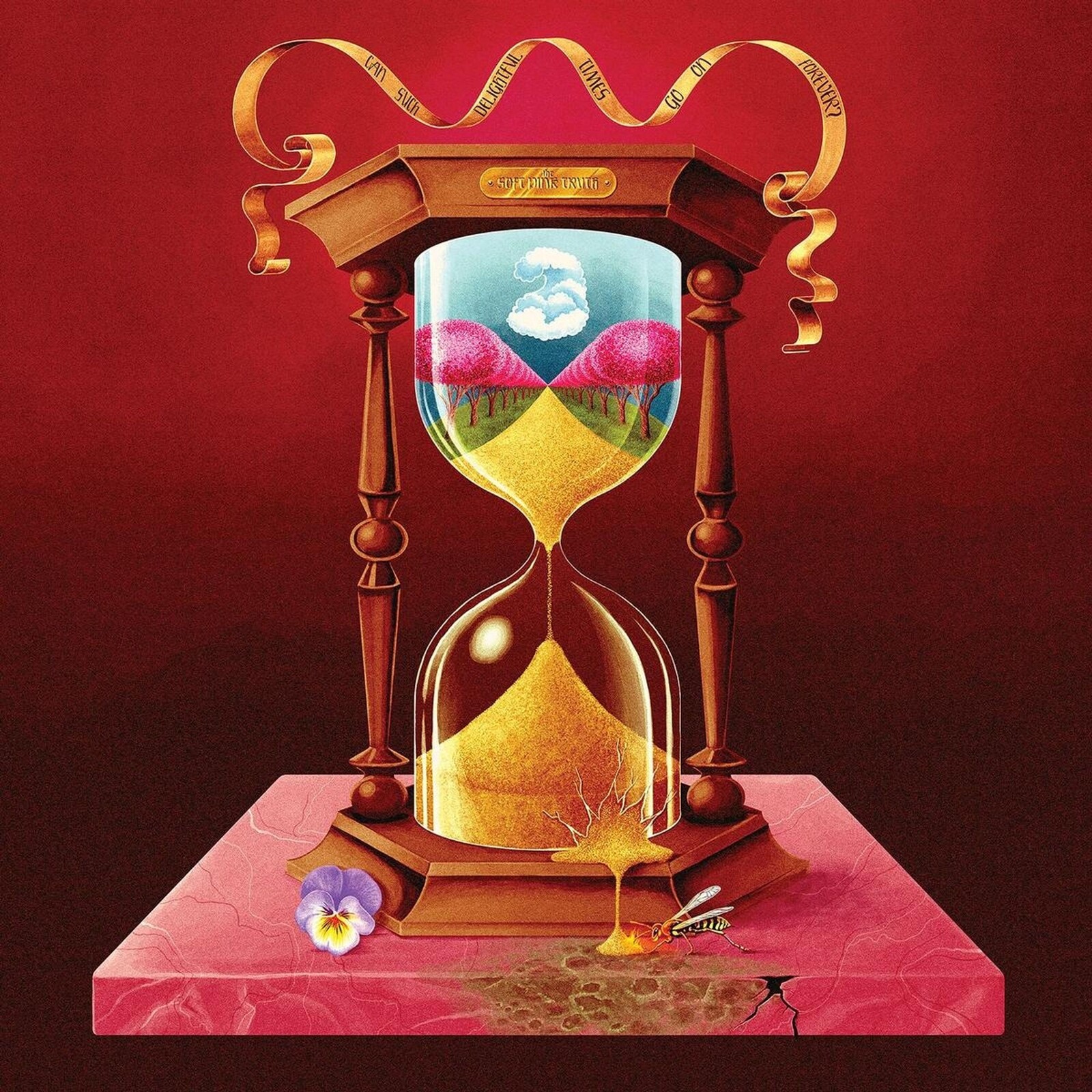 The Soft Pink Truth, CAN SUCH DELIGHTFUL TIMES GO ON FOREVER?, CD