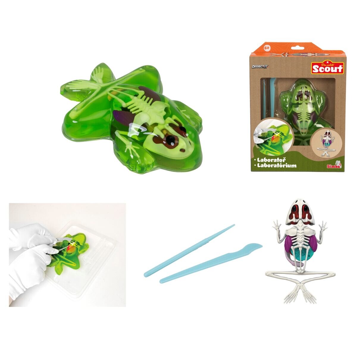 Simba Objavuj Pitva Žaby