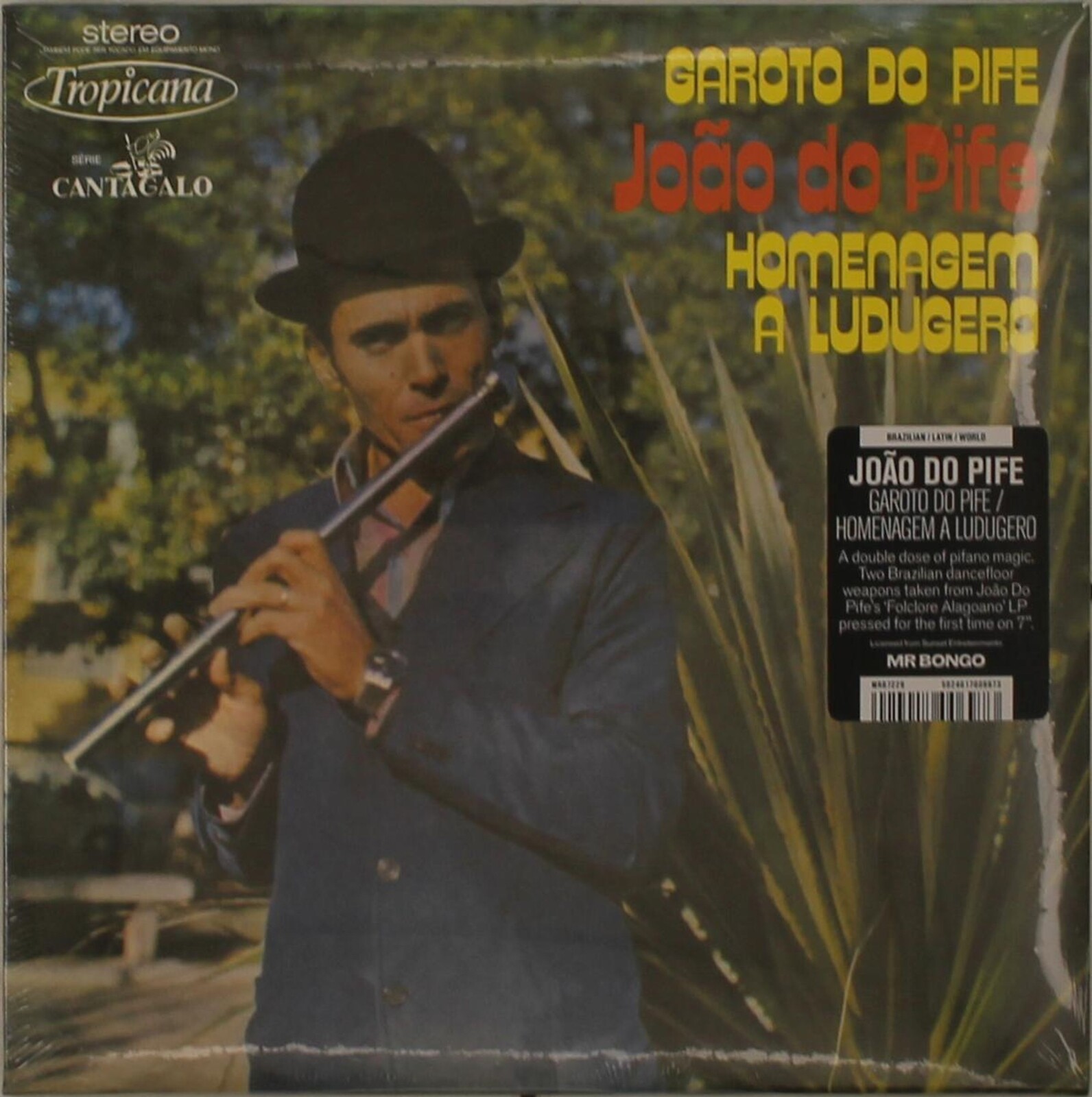 7-GAROTO DO PIFE / HOMENAGEM A LUDUGERO