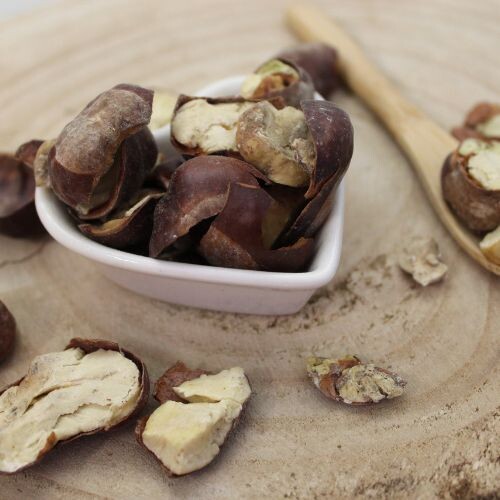 Gaštan, pagaštan konský - plod celý - Aesculus hippocastanum - Fructus hippocastani 50 g