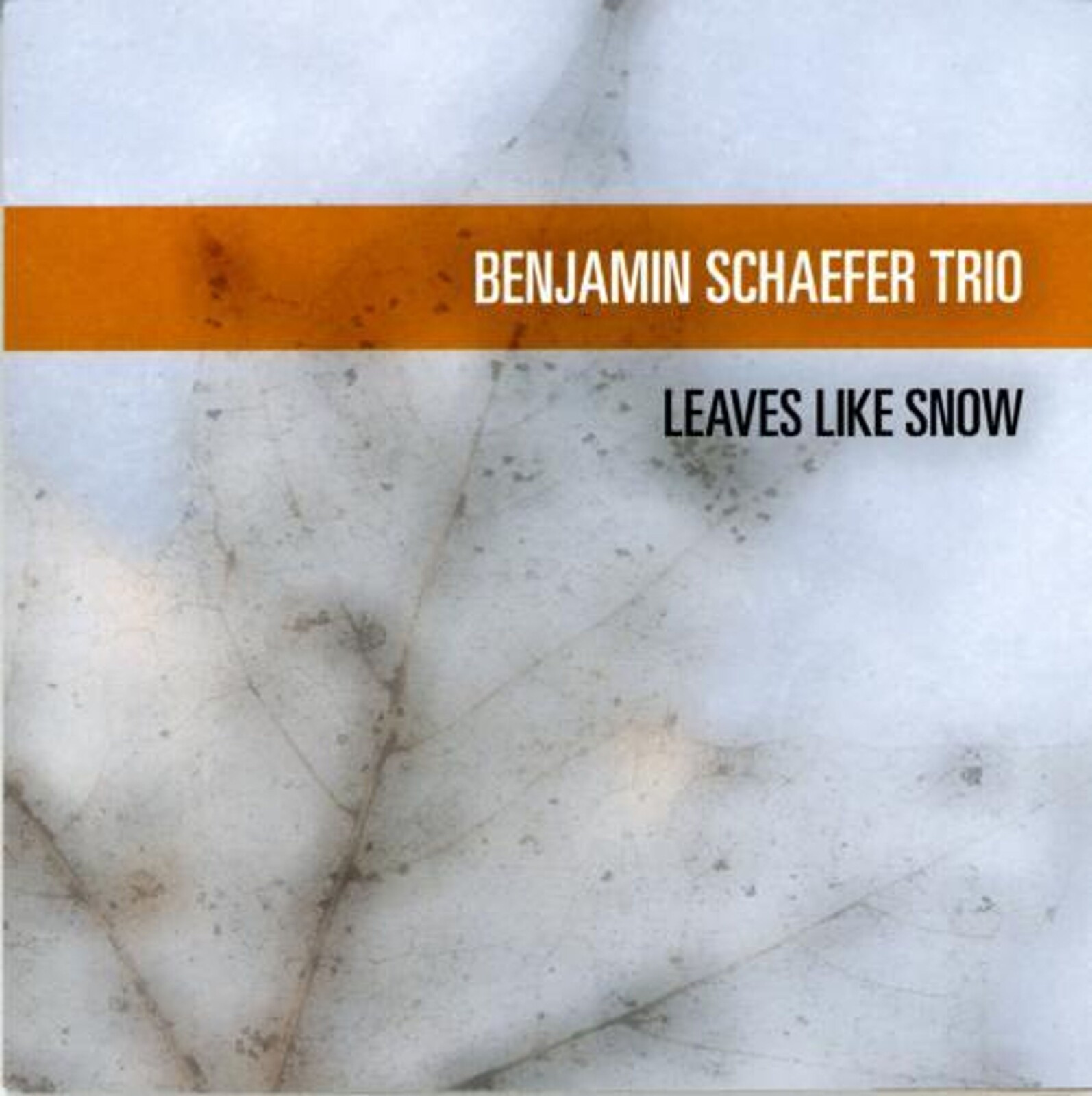Benjamin Schaefer Trio, LEAVES LIKE SNOW, CD