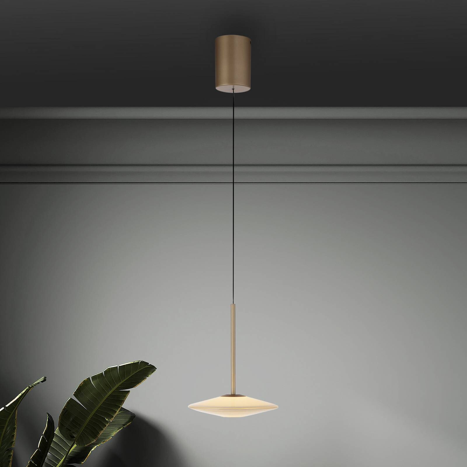 Paul Neuhaus LED závesné svietidlo Elipsa, 1-pl., biela/bronzová