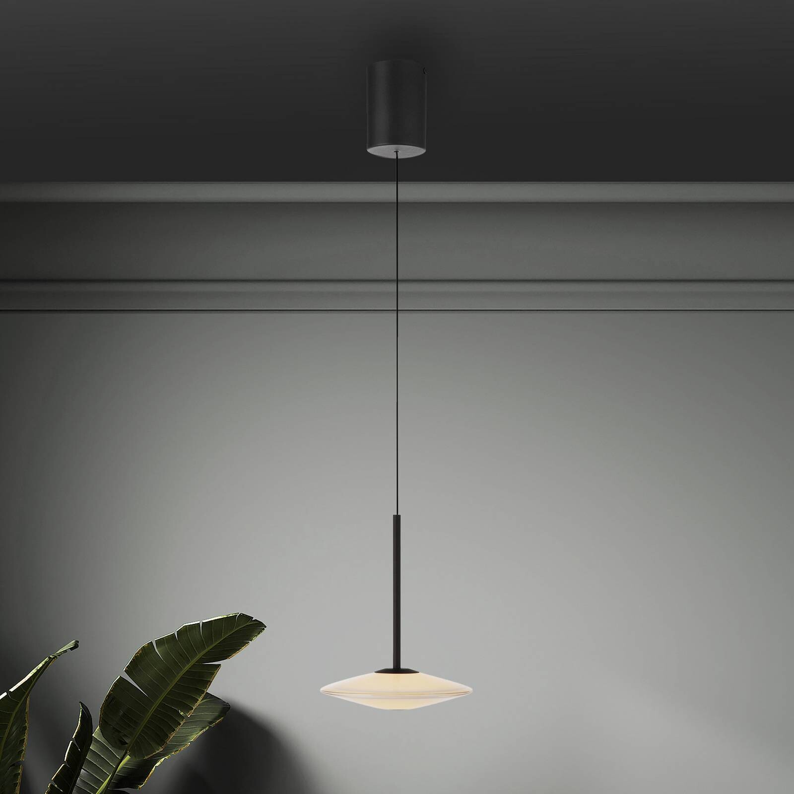 Paul Neuhaus LED závesné svietidlo Elipsa, 1-pl., biela/čierna