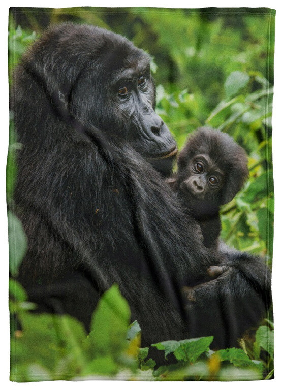 Deka Gorila a mláďa (Rozmer: 150 x 120 cm, Podšitie baránkom: NE)