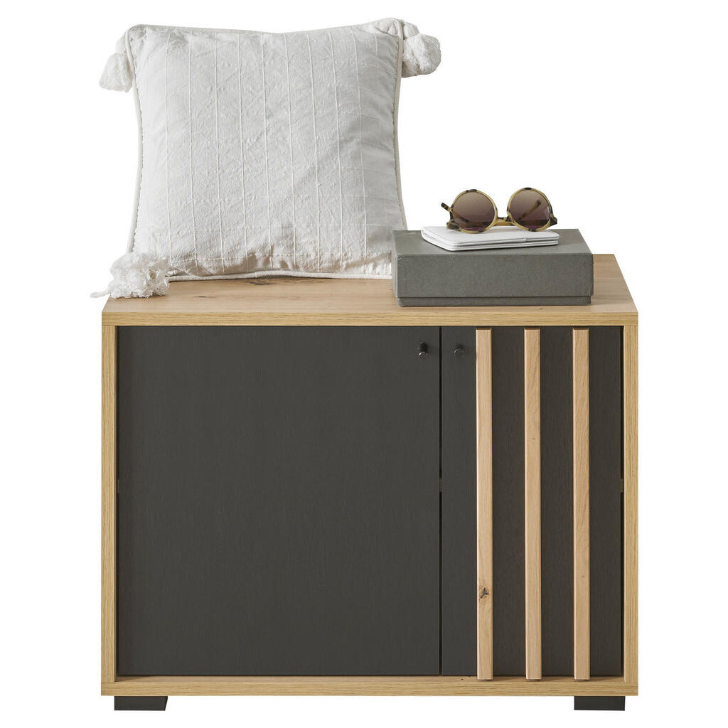 Carryhome LAVICA DO PREDSIENE, 64,3/47/38 cm