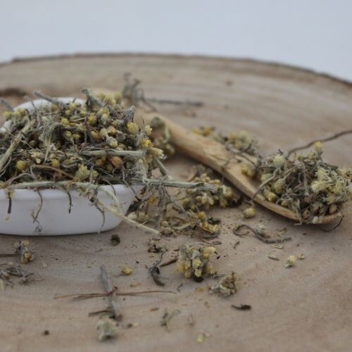 Slamienka talianska - vňať narezaná - Helichrysum italicum - Herba helichrysi 1000 g
