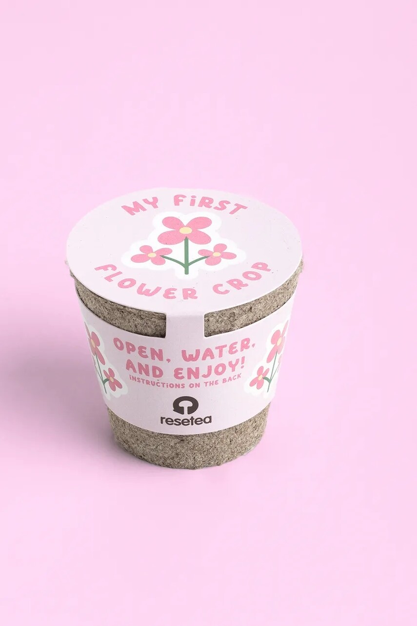 Sada na pestovanie rastlín RESETEA My first flower 6,3 x 5,8 cm viac farieb