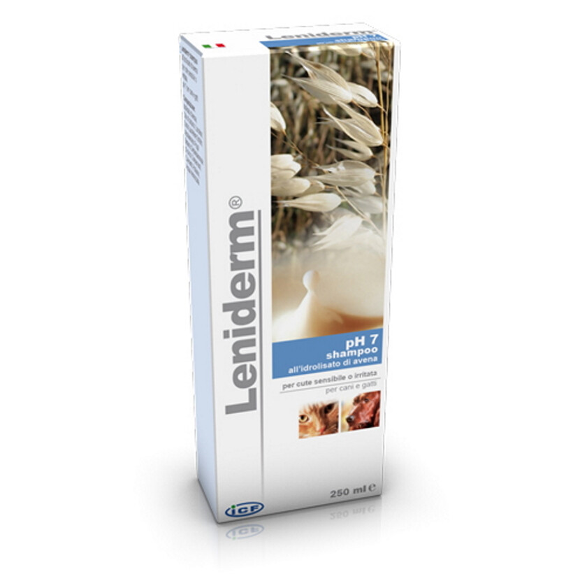 LENIDERM šampón 250 ml