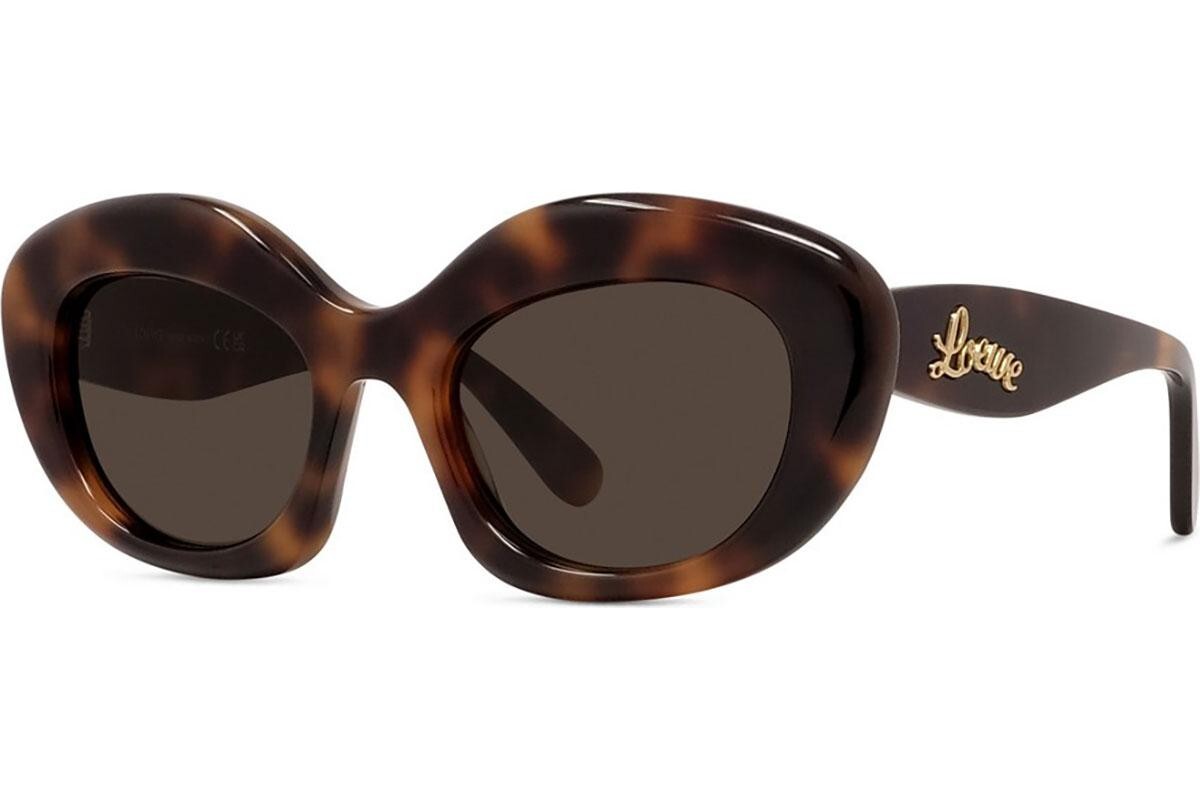 Loewe Curvy Havana Cat Eye Sunglasses - ONE SIZE (51)