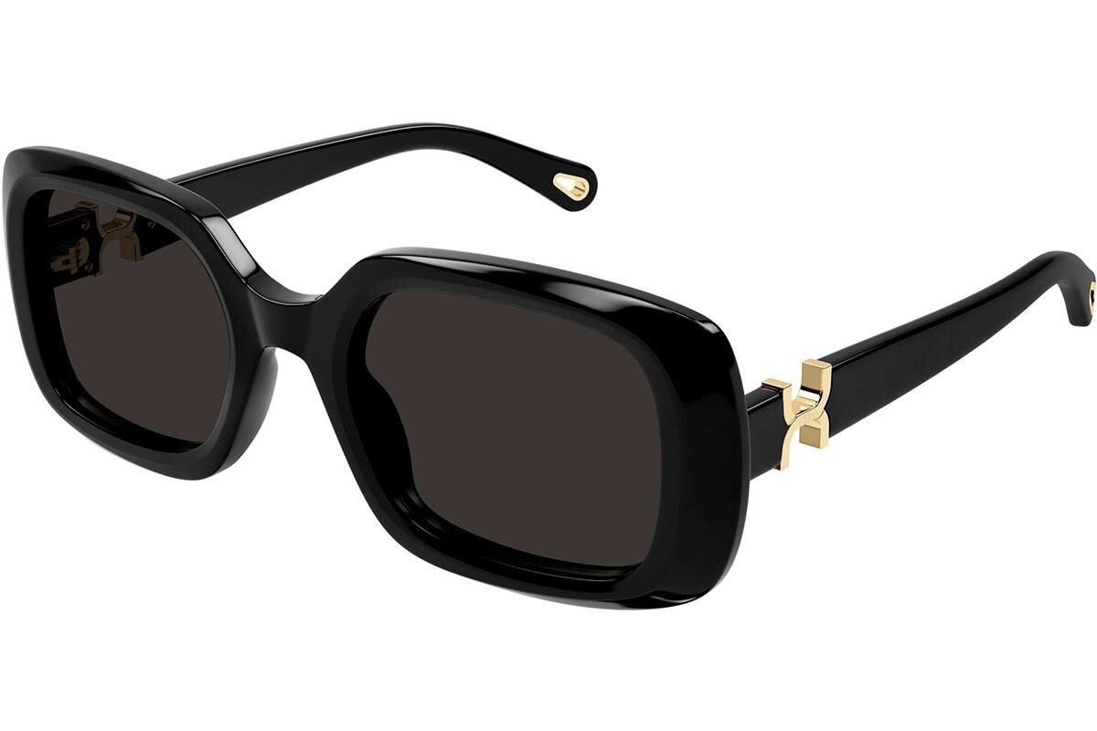 Chloe CH0333S 001 - ONE SIZE (53)