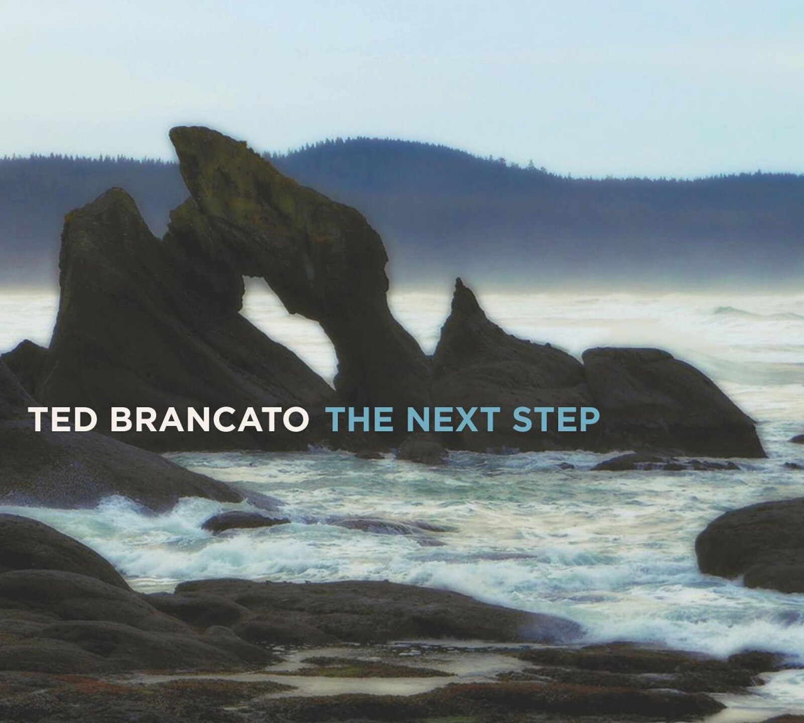 Ted Brancato, NEXT STEP, CD
