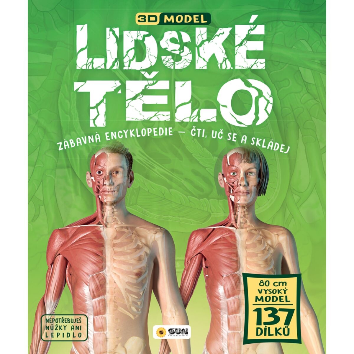 Ľudské telo - 3D MODEL - Zábavná encyklopédia