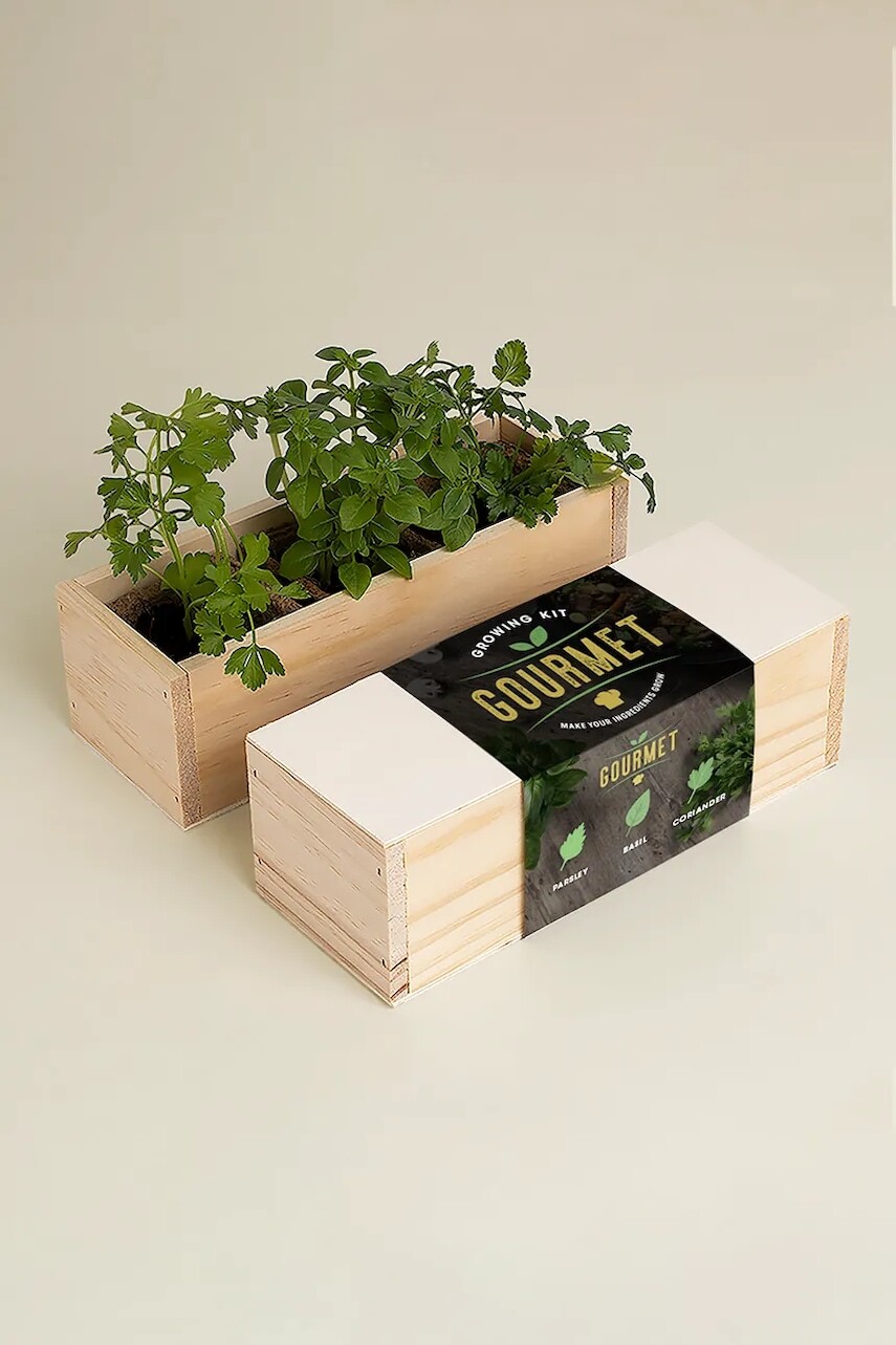 Sada na pestovanie rastlín RESETEA Growing Kit 21 x 7,8 x 6,5 cm viac farieb