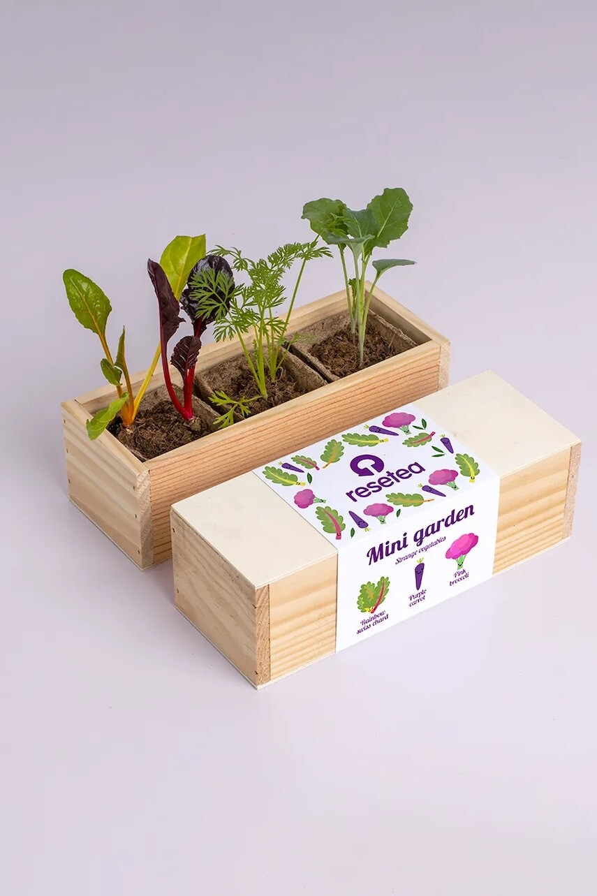 Sada na pestovanie rastlín RESETEA Mini garden Strange vegetables 9,8 x 8,8 x 8,8 cm viac farieb