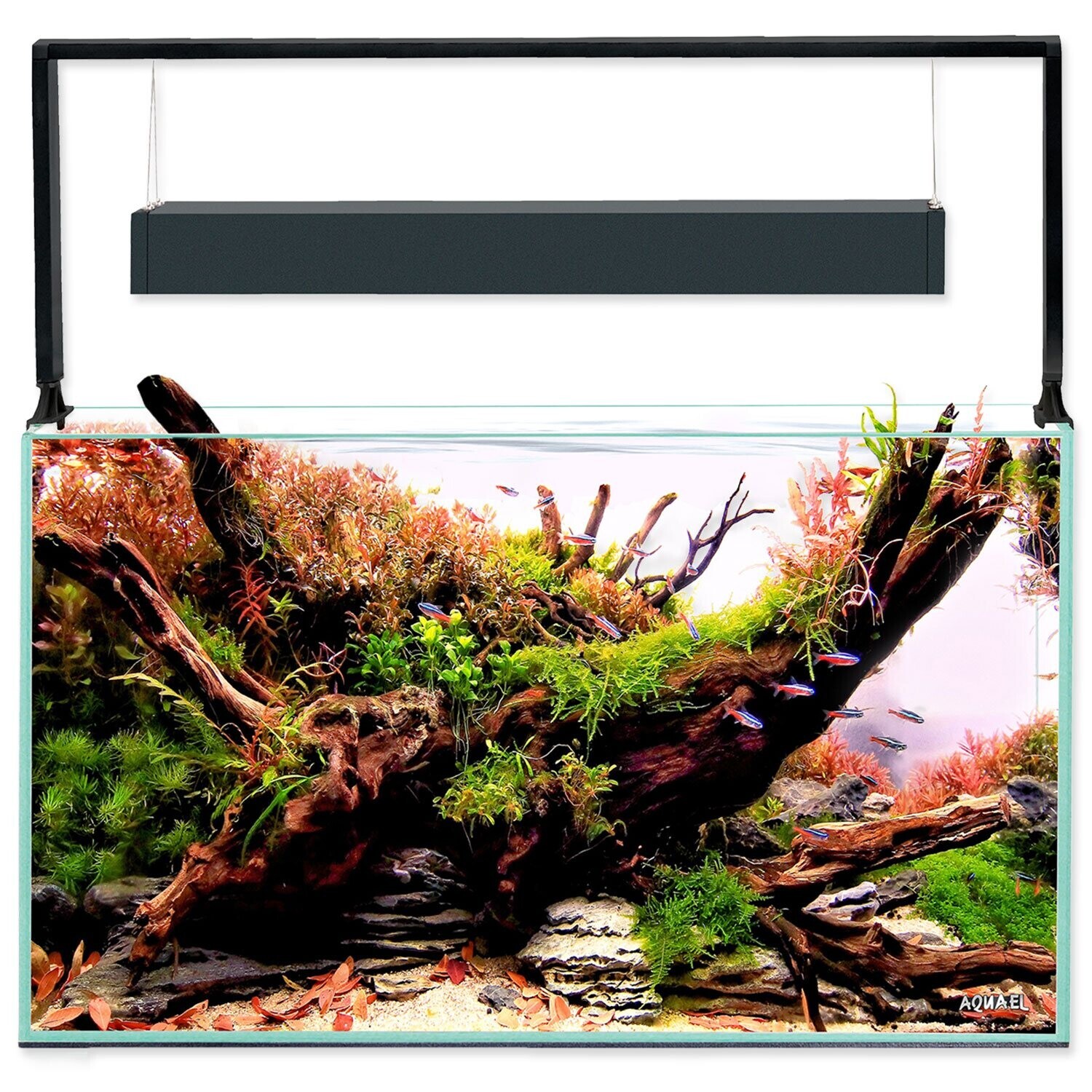 Set Aquael akvarijný Ultrascape 60 forest, 64,8l