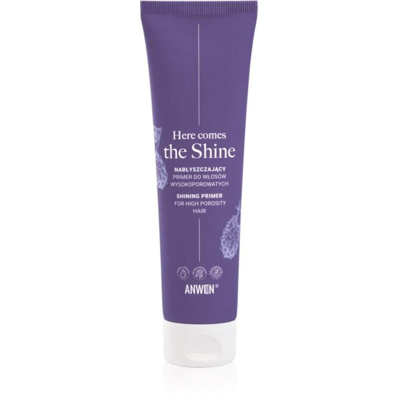 Anwen Here Comes The Shine Shining Primer For High Porosity Hair podkladová báza na vlasy 100 ml