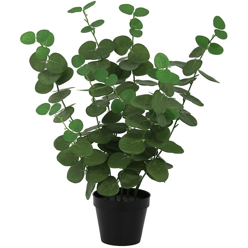 Umelý eukalyptus v kvetináči 50 cm