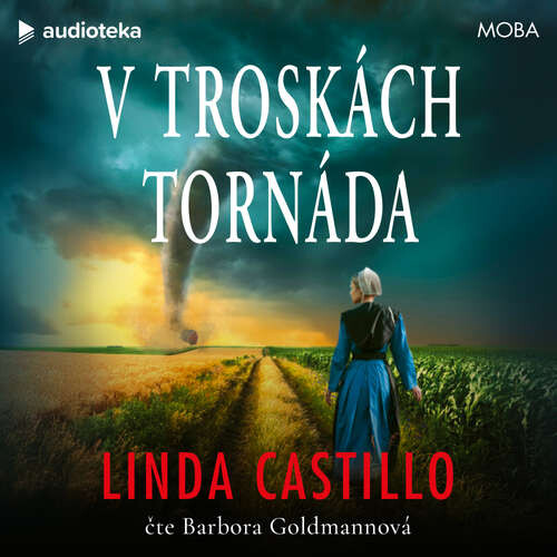 V troskách tornáda - Linda Castillo (mp3 audiokniha)