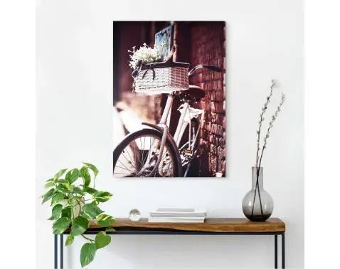 Obraz na plátne Bicykel s košíkom, 50x70 cm%