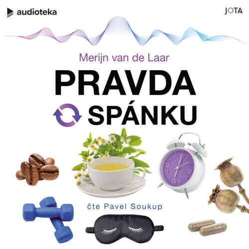 Pravda o spánku - Merijn van de Laar (mp3 audiokniha)