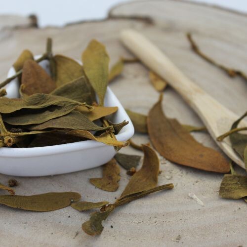 Imelo biele - vňať narezaná - Viscum album - Herba visci albi 1000 g