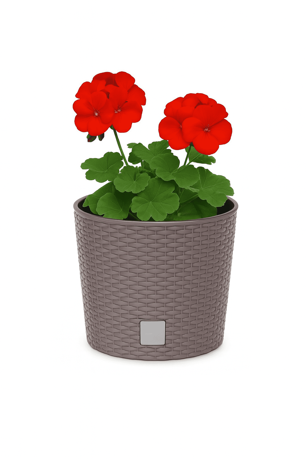 ProsperPlast Kvetináč RATO ROUND s vkladom | mocca 40 cm