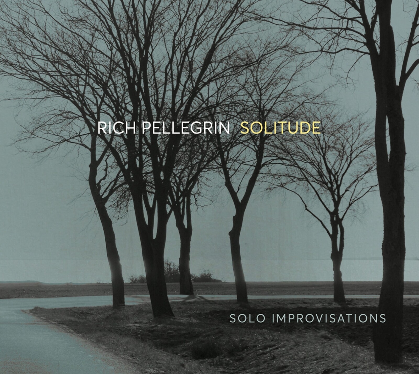 Rich Pellegrin, SOLITUDE: SOLO IMPROVISATIONS, CD