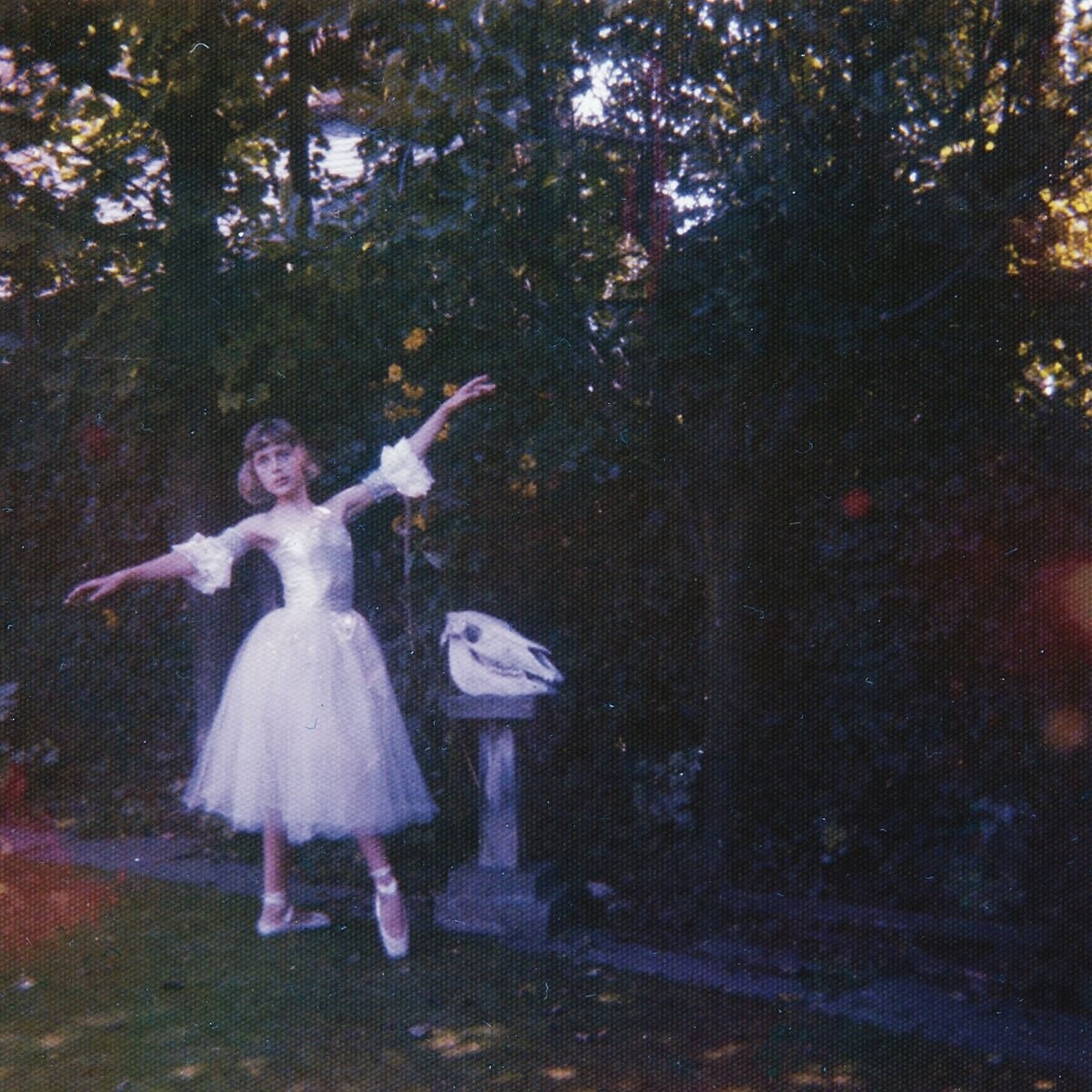 Wolf Alice, VISIONS OF A LIFE, CD