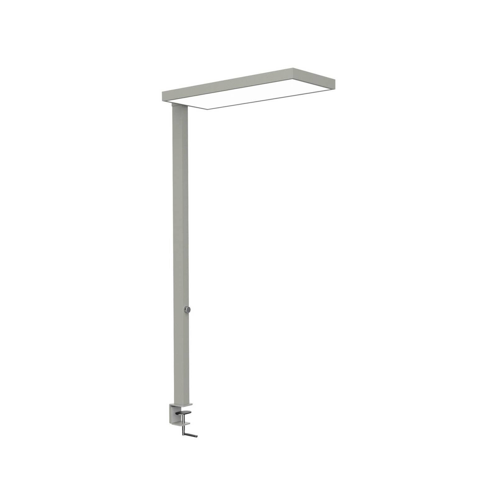 LED svietidlo MAULjura, strieborná farba, stmievateľné, 100 cm