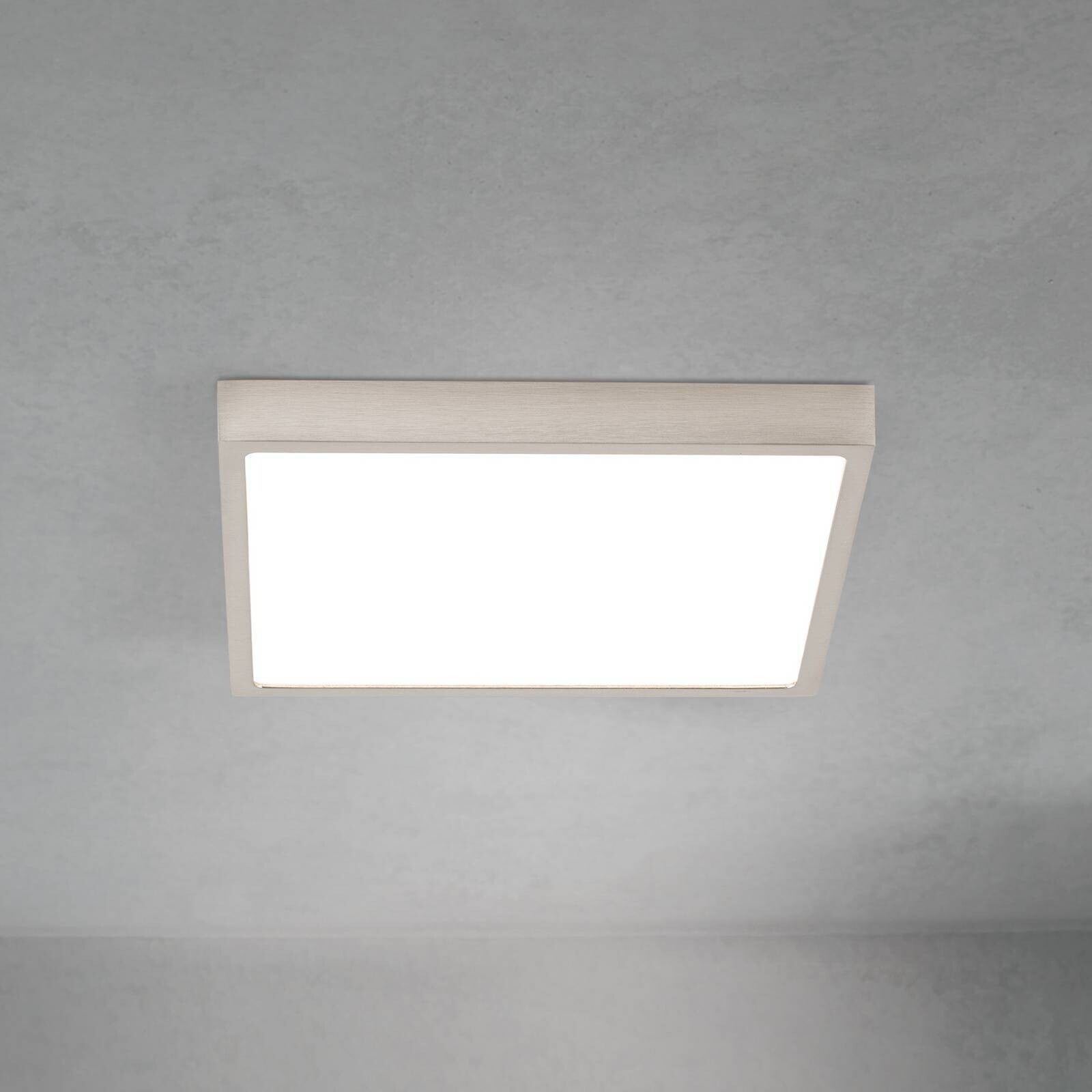 stropné LED svetlo Disc, saténovo niklové, dĺžka 24 cm CCT