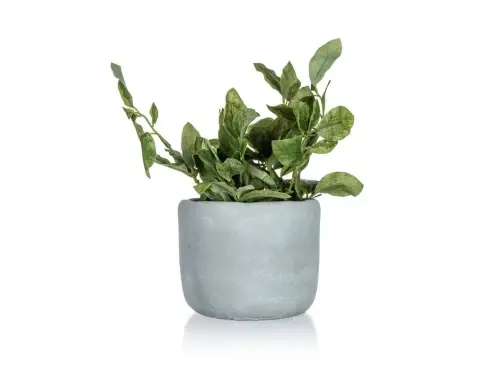 Umelá rastlina v kvetináči 18 x 20 cm, zelená%
