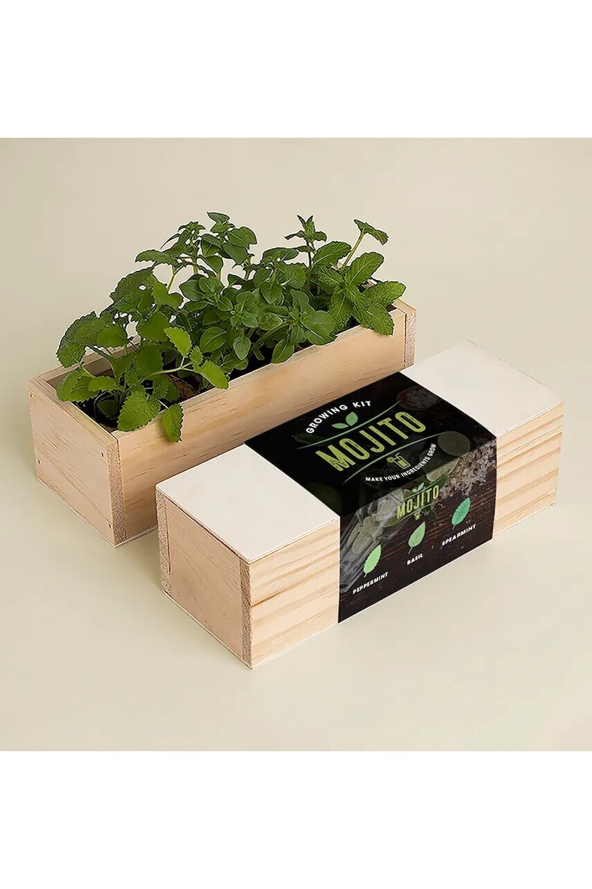 Sada na pestovanie rastlín RESETEA Mojito Growing Kit 21 x 7,8 x 6,5 cm viac farieb