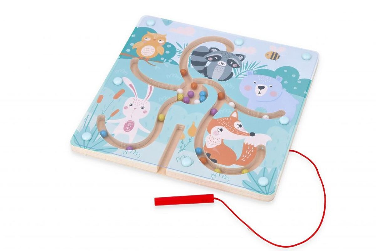 Magnetické bludisko les