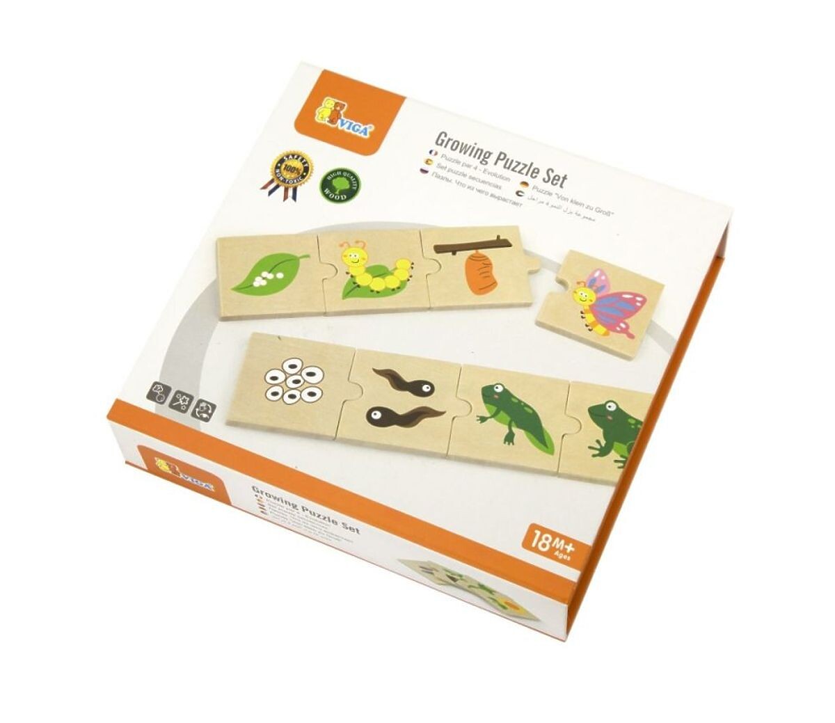 Viga Fázy vývoja rastlín a zvierat