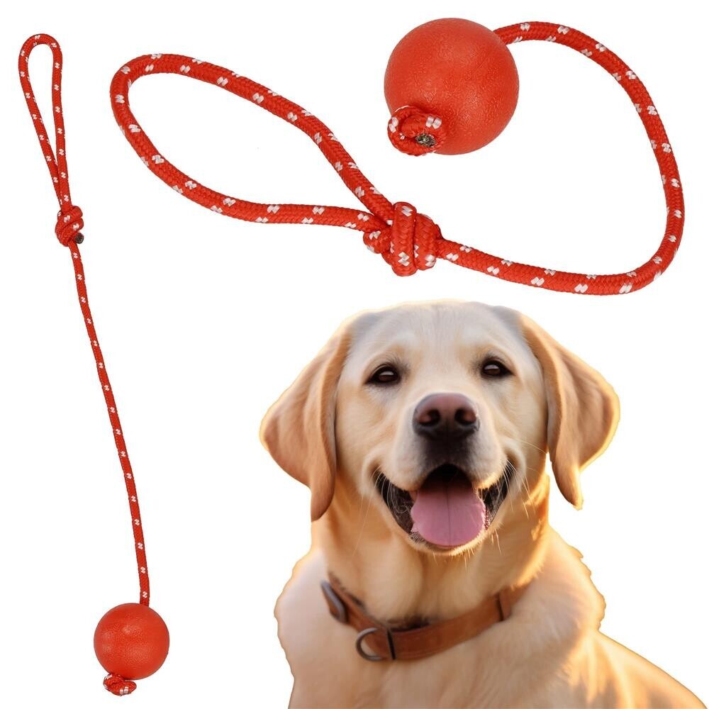 Hračka pre psa - šnúrka s loptičku